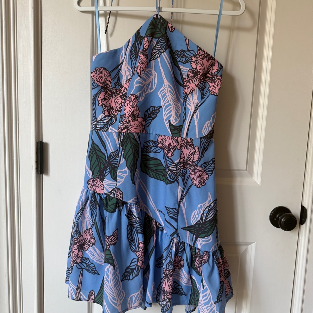 Hutch Blue and Pink Garment